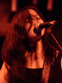 heliotropes_glasslands_16