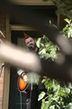 porchfest_westphilly_5